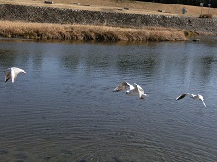 CIMG0712240-180