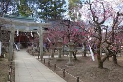 DSC01332240-160