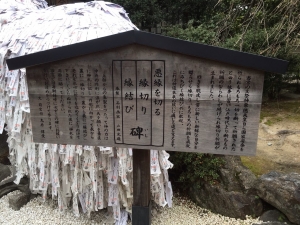 image (7)