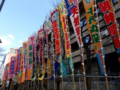 相撲2トリ済み
