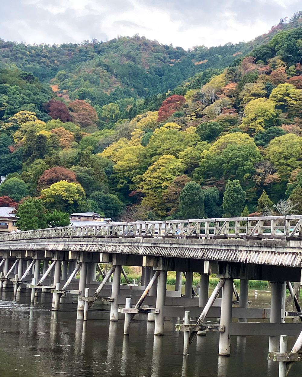 20251117_嵐山_2