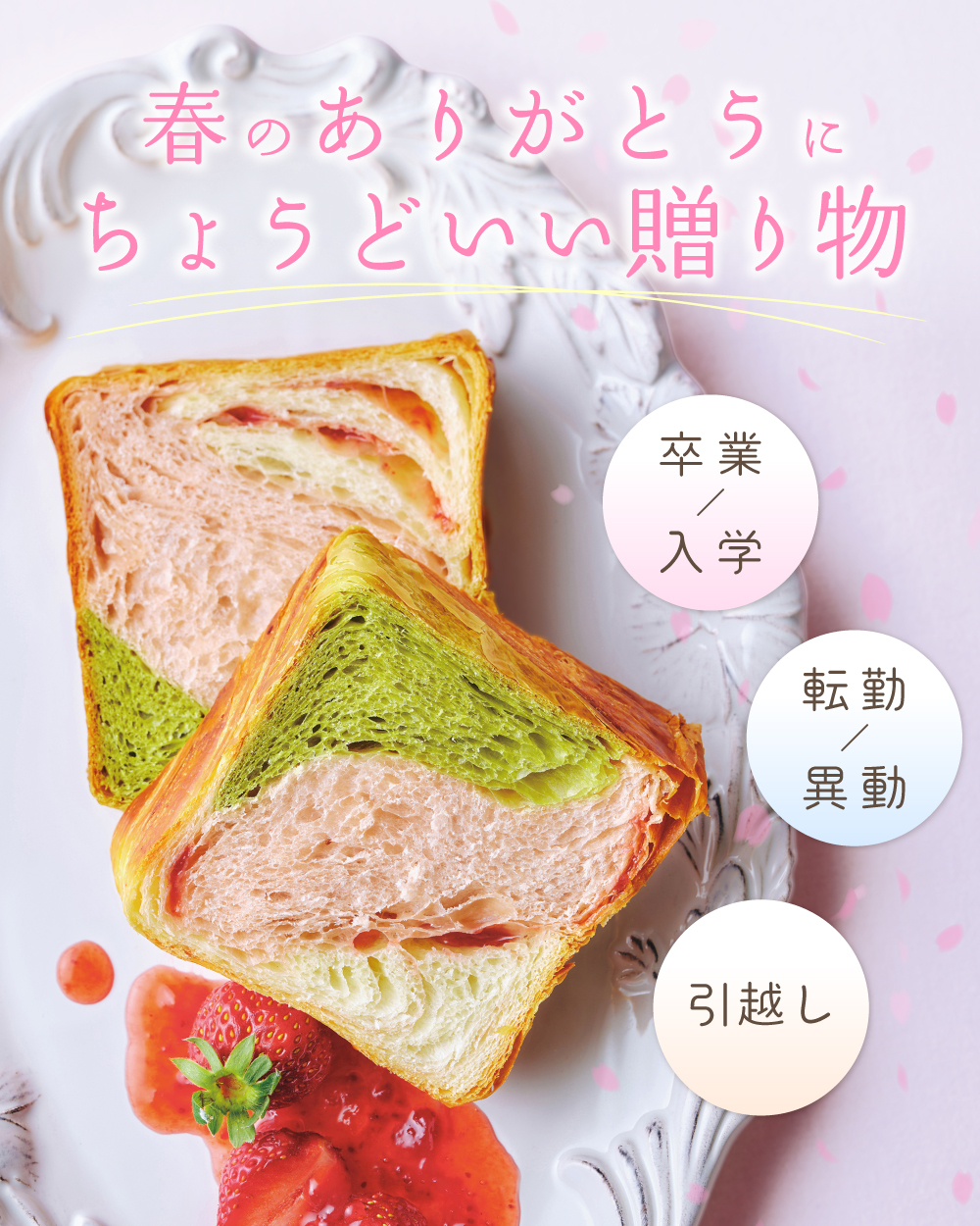 20260218_春の贈り物