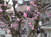 DSC01335240-160