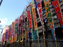 相撲2トリ済み