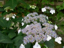 16-05-24-16-21-58-100_photo