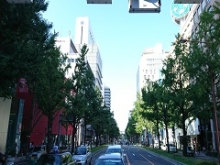 御堂筋③（トリ済み）