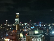 DSC_0090（トリ済み）