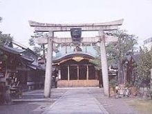 yjimage (1)