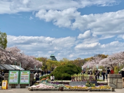 大阪城と桜 Grand Marble
