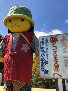 亀岡 夢コスモス園 Grand Marble 亀岡 夢コスモス園 Grand Marble