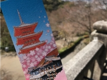 写真１