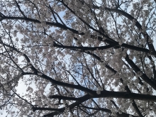 山本さん