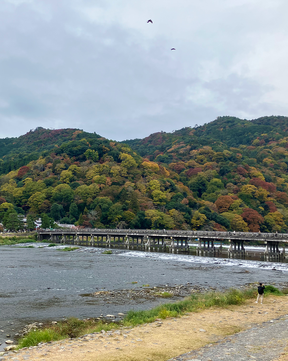 20251117_嵐山_1