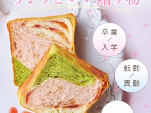 20260218_春の贈り物