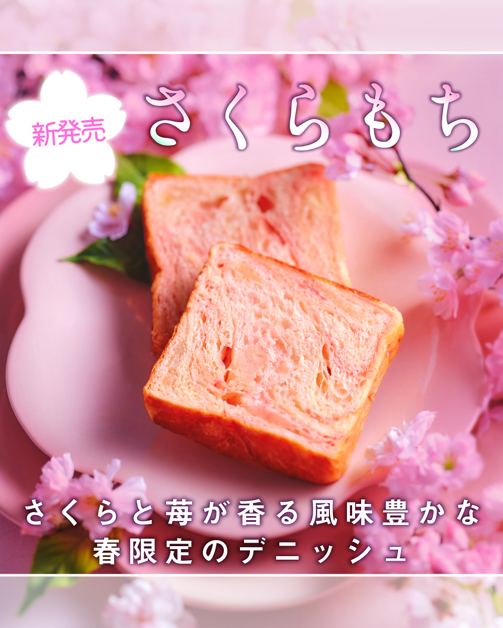 20260223【さくらもち】1