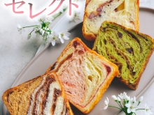 20260228【セレクト】