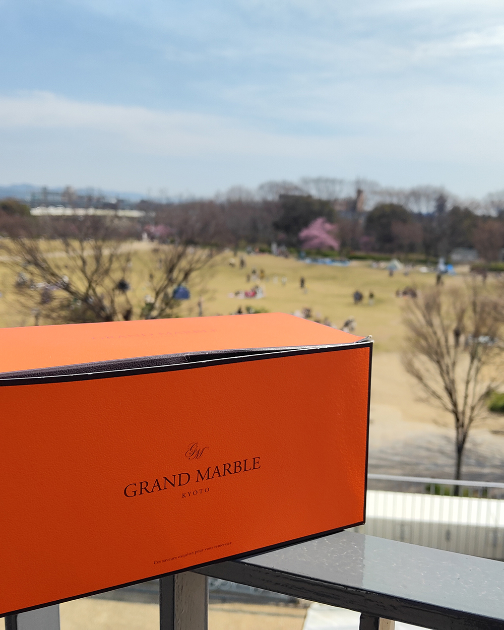 20260323【京都の桜_梅小路公園】3