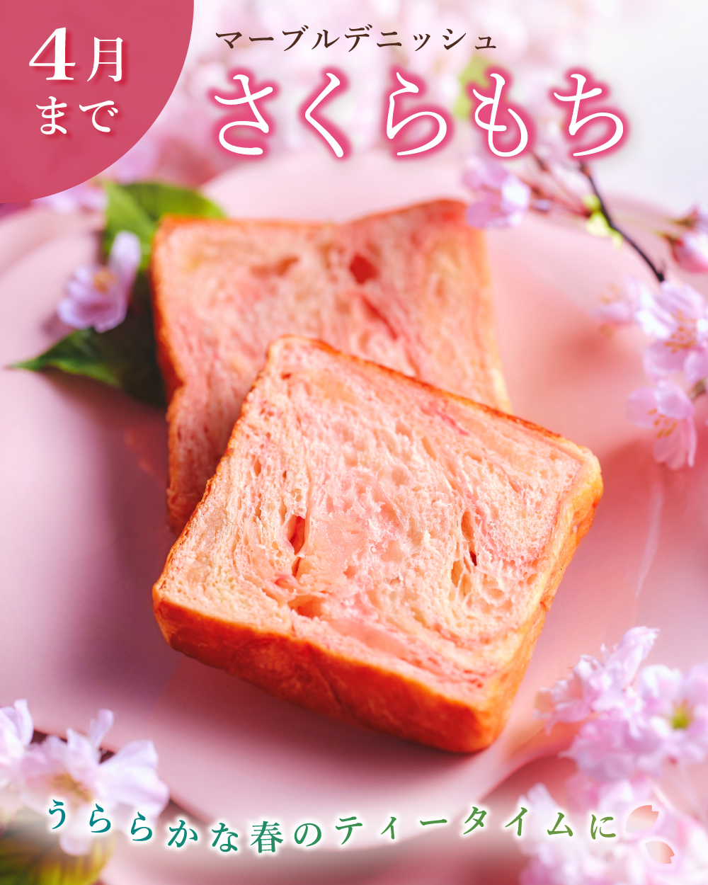 20260410【さくらもち】