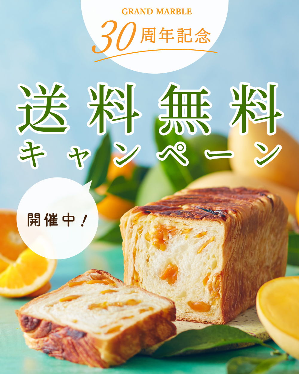 20260602【送料無料】